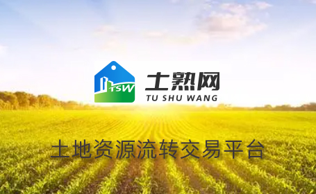 愛品特助力土熟網(wǎng)網(wǎng)絡(luò)營(yíng)銷推廣，共繪鄉(xiāng)村振興新篇章